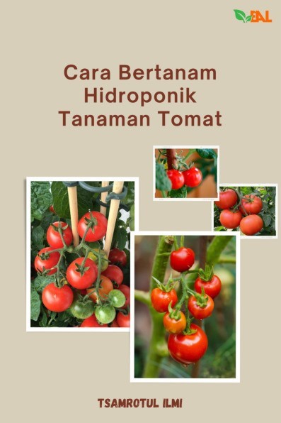 Cara Bertanam Hidroponik Tanaman Tomat